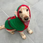 Christmas Elf Dog Jumper, thumbnail 2 of 5