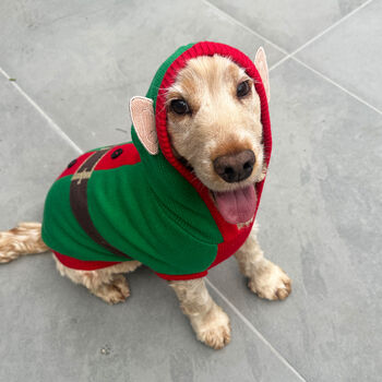 Christmas Elf Dog Jumper, 2 of 5