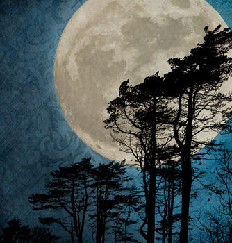 Moonlit Trees On Skye, Fine Art Print, 2 of 7