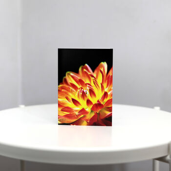 Floral A6 Greetings Cards, 6 of 7