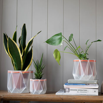Three Origami Self Watering Eco Plant Pots, 6 of 12