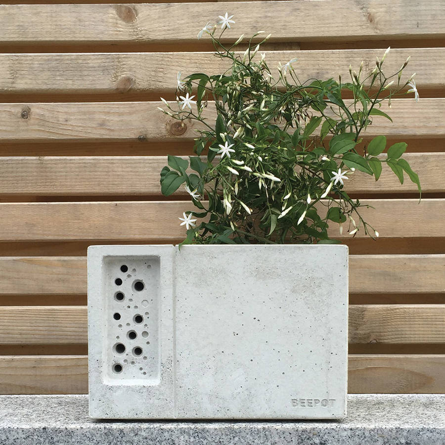 Beepot Planter In Concrete, 1 of 9