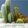 Percy Pricklebum Grow Your Own Cacti Kit Gardening Gift, thumbnail 6 of 7