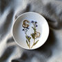 Real Pressed Forget Me Not Ceramic Trinket Dish, thumbnail 1 of 4