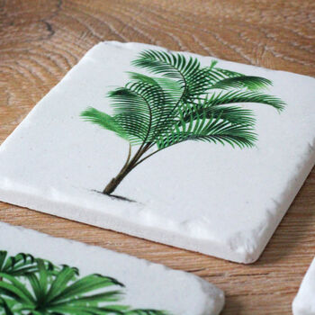 Set Of Four Fern Coasters, 5 of 6