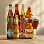 Belgium Breweries Craft Beer Mixed Case Eight Beers With Timmermans Glass, thumbnail 1 of 2