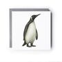Penguin Wildlife Hand Drawn Greeting Card, thumbnail 3 of 6