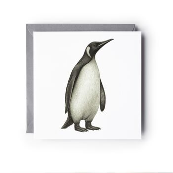 Penguin Wildlife Hand Drawn Greeting Card, 3 of 6