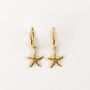 Starfish Hoop Earrings, thumbnail 4 of 8