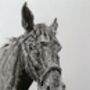 Original Charcoal Pet Portrait, thumbnail 4 of 10