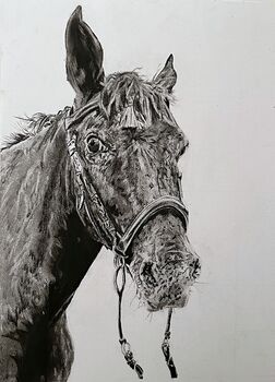 Original Charcoal Pet Portrait, 4 of 10