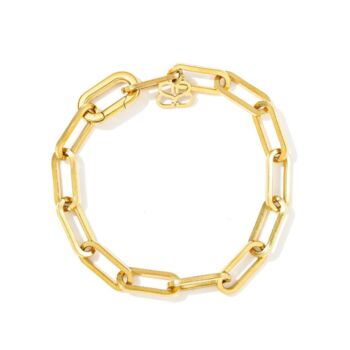 Gold Pvd Waterproof Chain Bracelets, 5 of 7