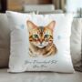 Personalised Bengal Cat Love Hearts Cushion Cover, thumbnail 2 of 2