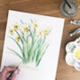 Daffodils March Birth Flower Watercolour Art Print, thumbnail 3 of 4