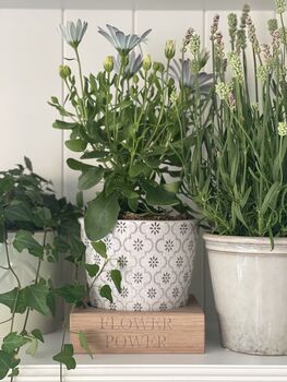 Personalised Oak Plant Display Stand White Stain Finish, 2 of 2