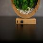 Round Wood Table Lamp With Preserved Moss, thumbnail 7 of 12
