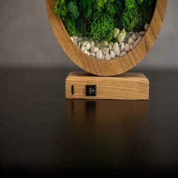 Round Wood Table Lamp With Preserved Moss, 7 of 12