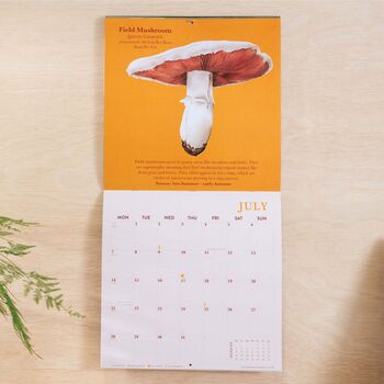 2025 Calendar | Mushroom, 4 of 8