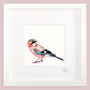 Inky Jay Bird Illustration Print, thumbnail 7 of 11