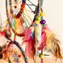 Large Double Rainbow Colours Hemp Dream Catcher, thumbnail 4 of 10