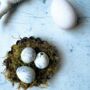 Box Of 60 Quail Egg's White Marbled, thumbnail 1 of 5