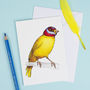 Canary In A Mexican Wrestling Mask Card, thumbnail 1 of 2