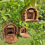 Three Wooden Hanging Wiley Squirrel Feeders, thumbnail 1 of 10