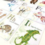 A Z Animal Children's Flash Cards, thumbnail 6 of 7