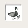 Duck And Duckling Countryside Greeting Card, thumbnail 3 of 6