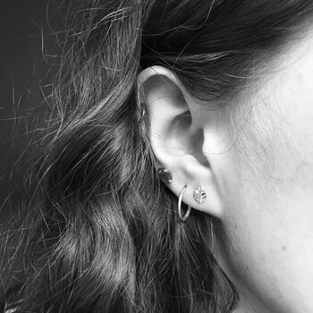 Leaf Stud Earrings Sterling Silver, 4 of 6
