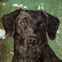 Bespoke Dog Portrait, thumbnail 1 of 6