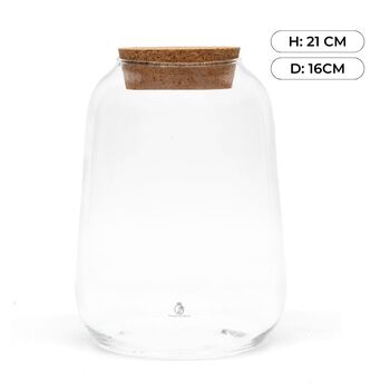 Lantern Stype Terrarium Jar | H: 21 Cm, 2 of 4