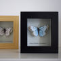 Personalised Little Butterfly Box Gift, thumbnail 10 of 10