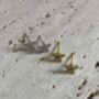 Tiny Dainty Cz Gold Star Stud Earrings, thumbnail 2 of 5