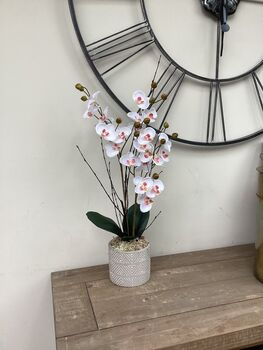 White Mini Artificial Silk Orchid Flower Arrangement Mothers Day Gift, 4 of 6