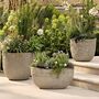 Round Ficonstone Garden Planter, thumbnail 1 of 5