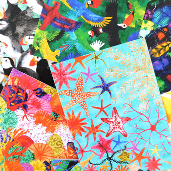 Conchae Sea Shell Print A6 Greetings Cards, 6 of 7