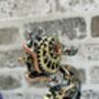 Intricate Steampunk Seahorse Ornament – Figurine, thumbnail 2 of 10