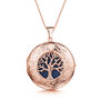 Personalised 18 K Rose Gold Plated Tree Of Life Locket, thumbnail 8 of 12