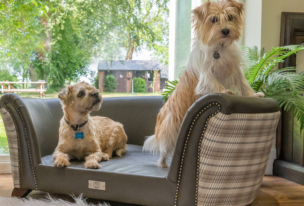 Luxury Fabric Sofa Dog Bed By Filthy animal