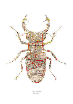 Personalised Stag Beetle Map Print, 3 of 4