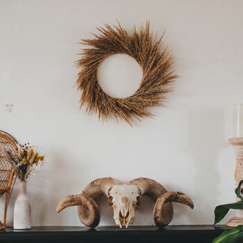 pampas grass flower decoration wreath dried notonthehighstreet wild