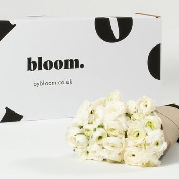 Porcelain White Ranunculus Fresh Flower Bouquet, 2 of 3