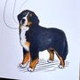 Bernese Mountain Dog Father's Day Card, thumbnail 2 of 3