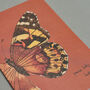 Handmade Greeting Card Painted Butterfly, Recycled Card, thumbnail 5 of 6
