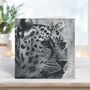 Leopard Blank Greeting Card Safari Cards, thumbnail 7 of 7