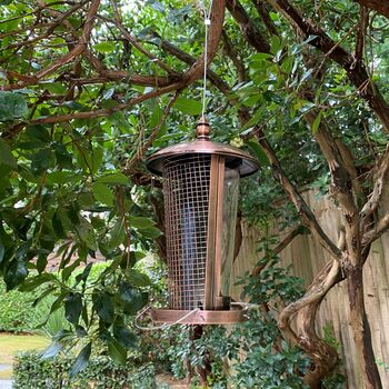 Dual Seed And Nut Bird Feeder With Copper Finish, 6 of 9