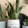 Personalised Concrete Planter With Plant, thumbnail 1 of 7