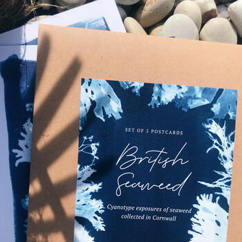 British Seaweed Postcards Set Pack Of Five, 2 of 10
