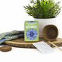 Grow Your Own Birth Flower Choose Your Month, thumbnail 5 of 12